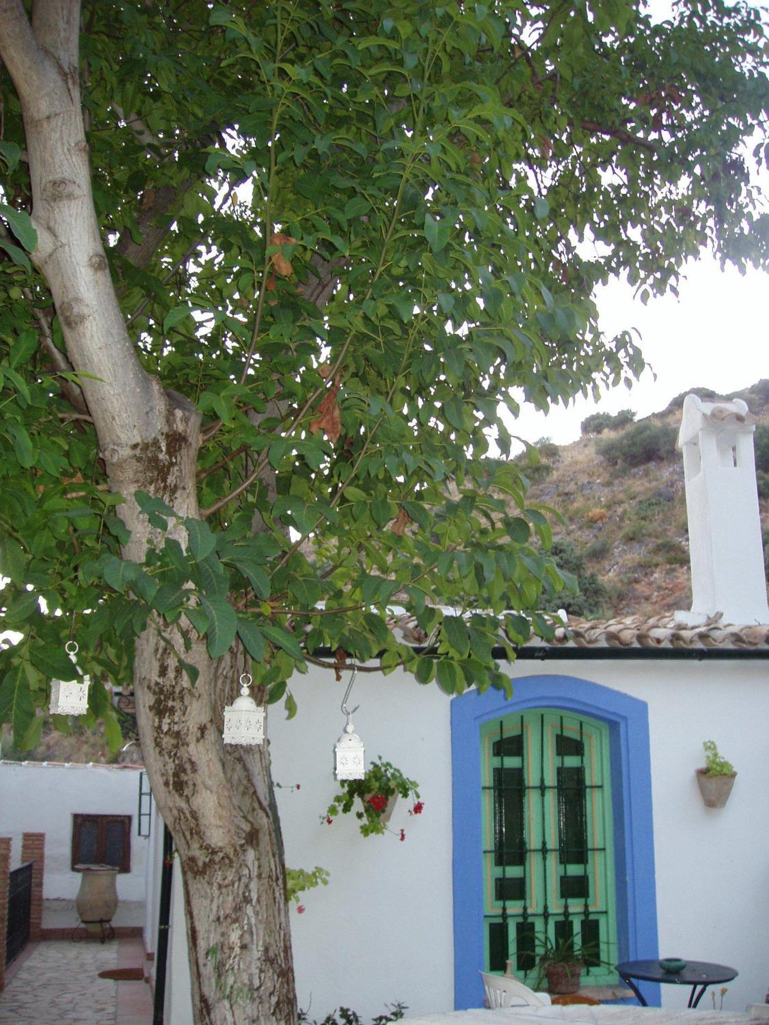 El Rincon De Carmen Guest House Rute Luaran gambar